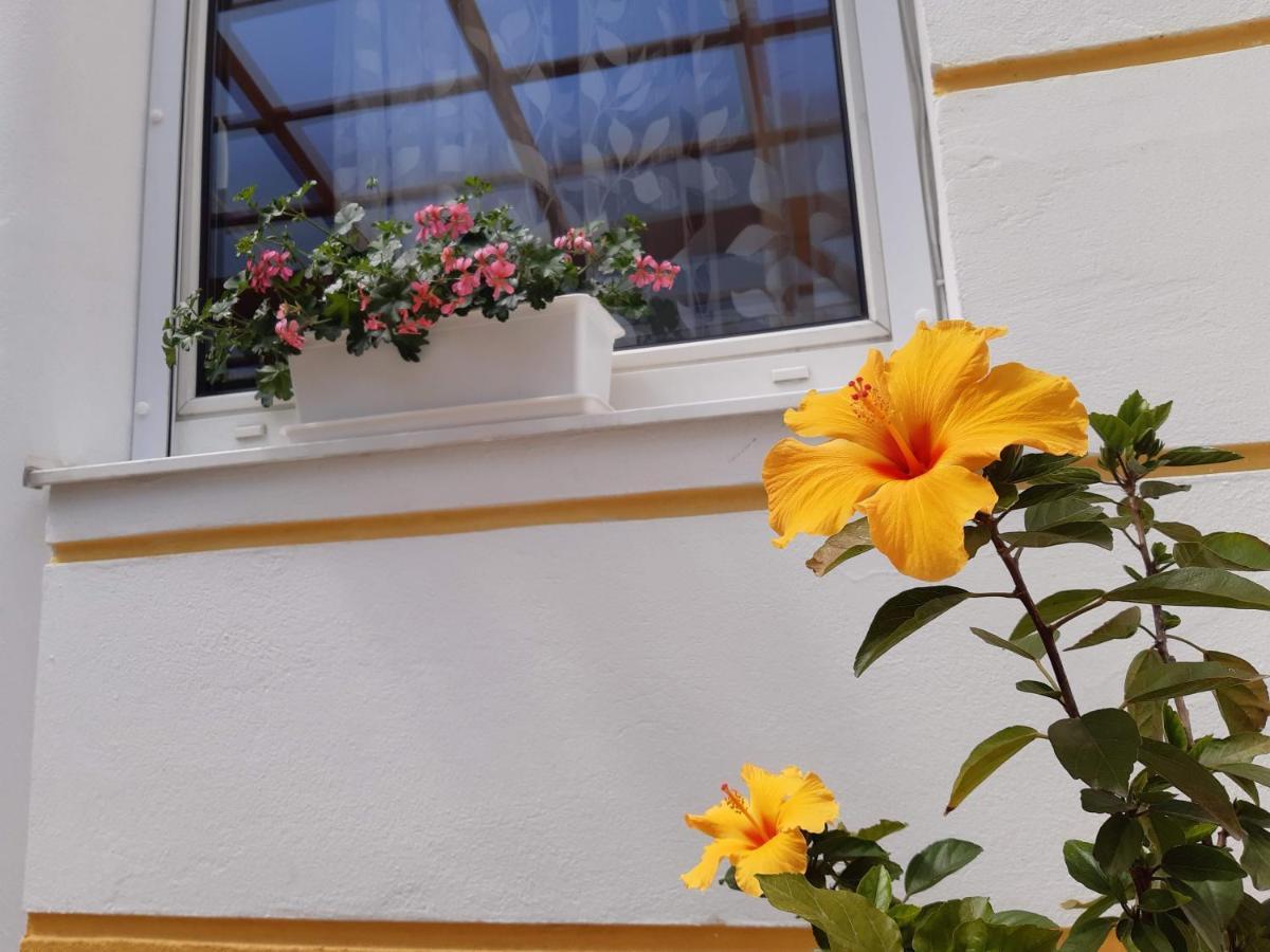 Thermal Garden Mosonmagyaróvár Zewnętrze zdjęcie
